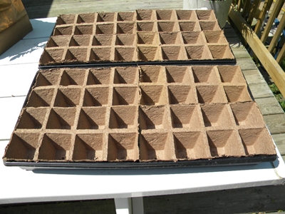 Compostable Seedling Tray